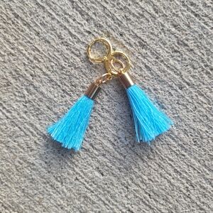 Handmade Blue Tassel Earrings